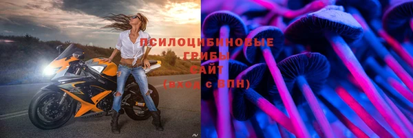 СК Бородино