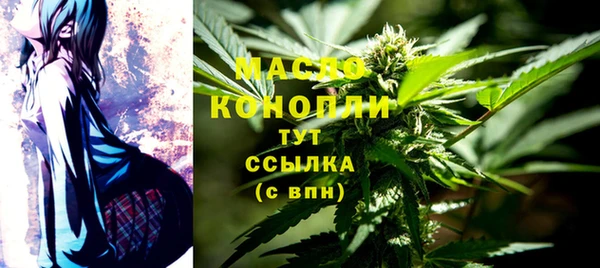 индика Вязьма