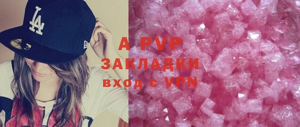 индика Вязьма