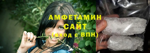 прущие грибы Корсаков